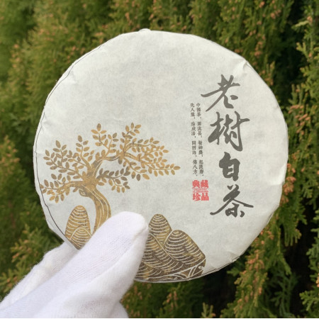 Белый чай Большое старе дерево блинчик 2019 год 100 г 